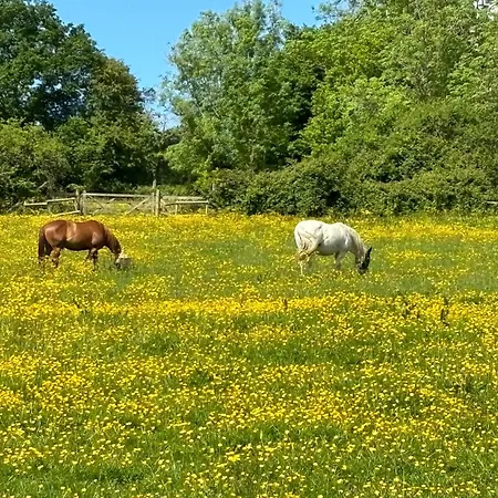 Semesterbostad Charming Normandy Saint-Julien-sur-Calonne