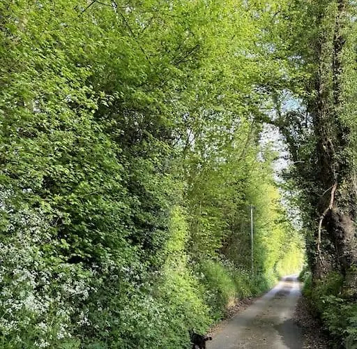 Charming Normandy Saint-Julien-sur-Calonne