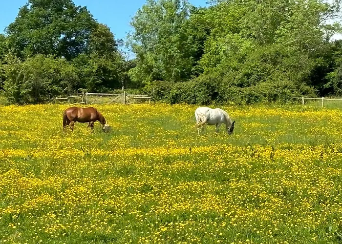 בית נופש Charming Normandy Saint-Julien-sur-Calonne